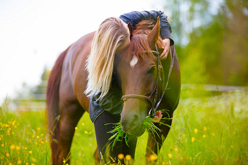Blonde woman standing in a meadow hugging her arabian horse
