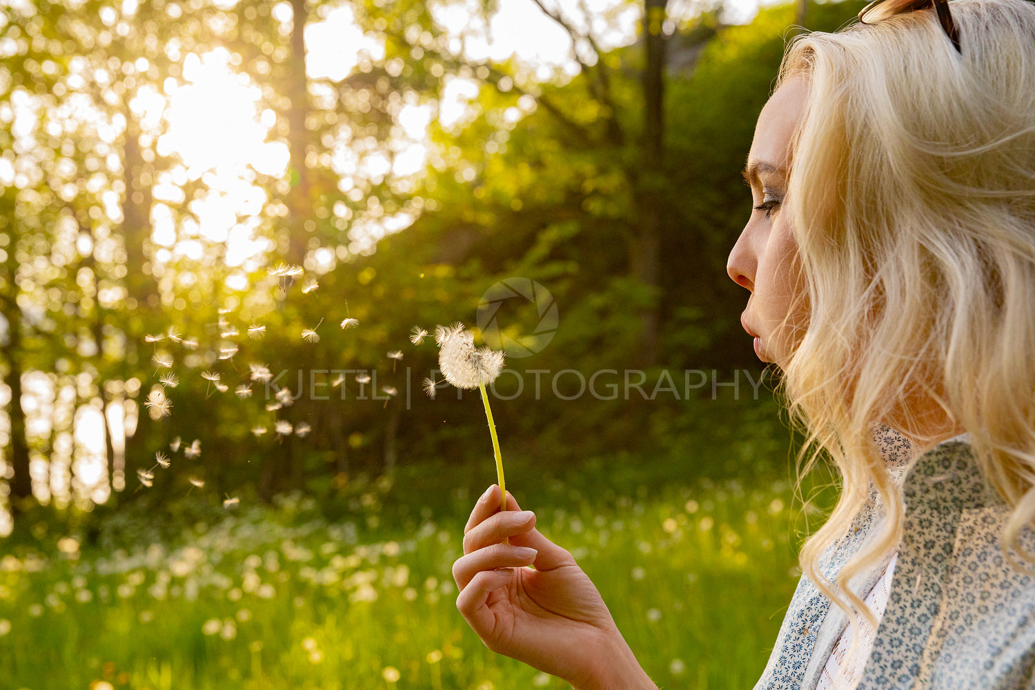 Closeup Of Young Woman Blowing Dandelion Seeds