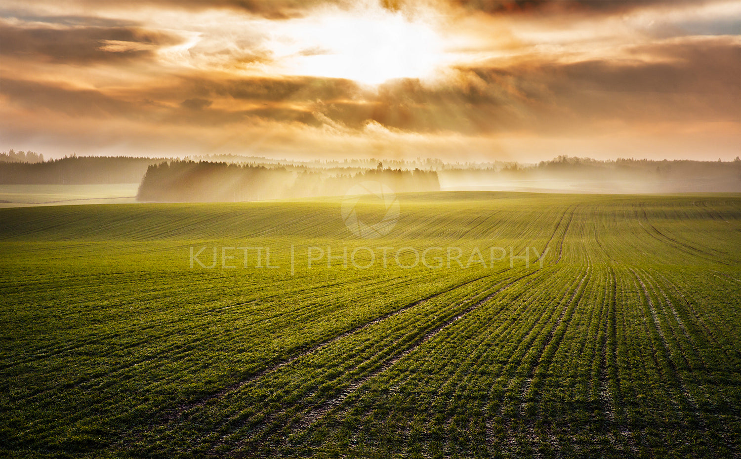 Idyllic sunrise over foggy autumn green fields
