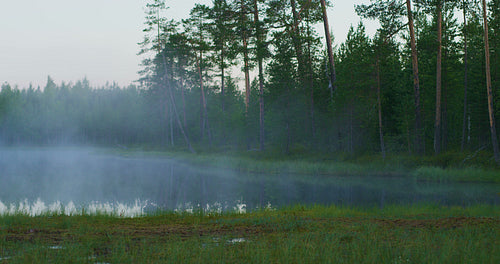 Beautiful lake in green finnish forest with morning fog