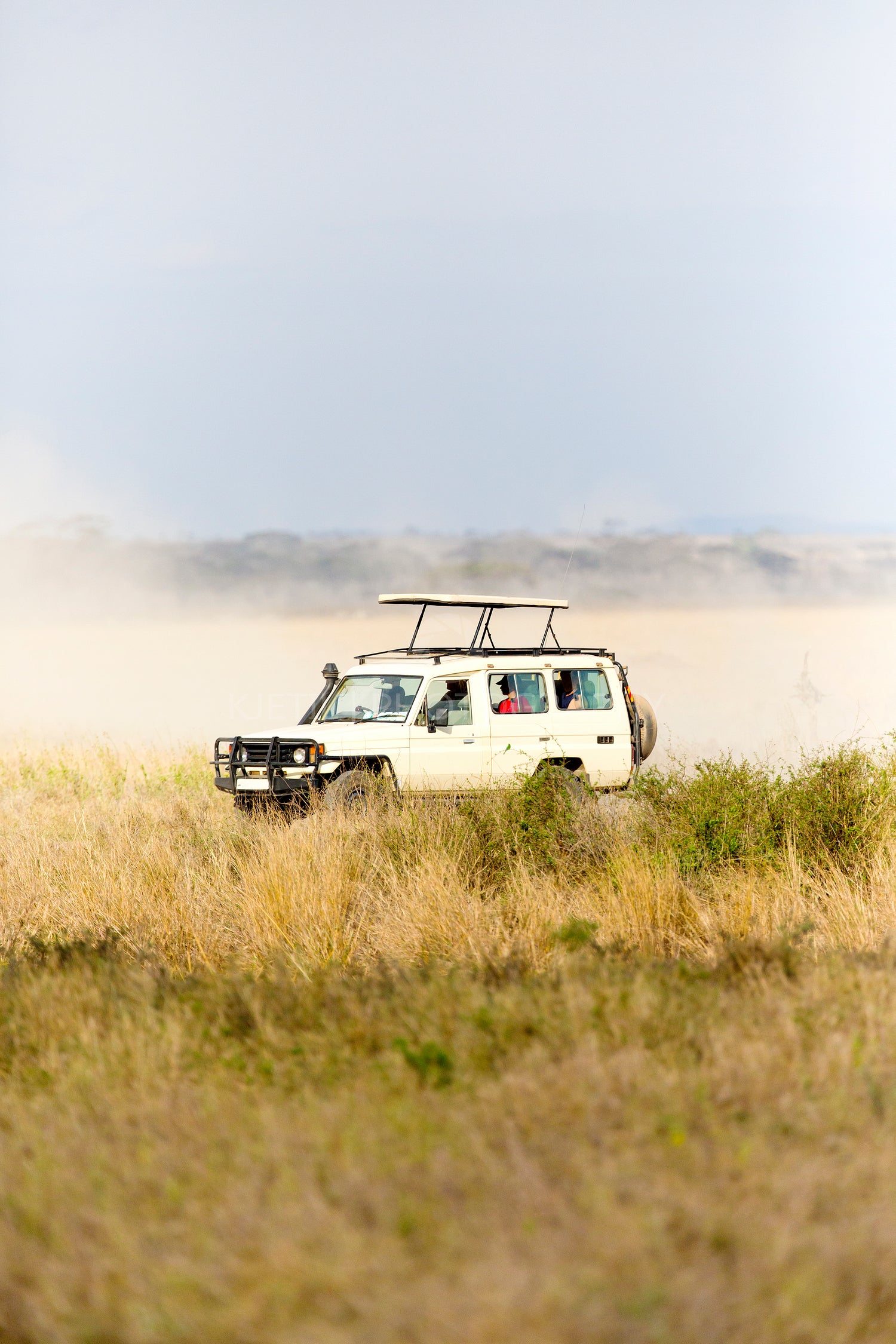 Safari tourists on game drive in Serengeti