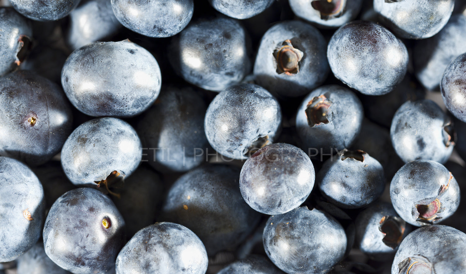 Heatlhy Blueberries
