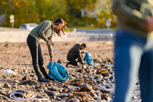Dedicated volunteers cleaning beach on sunny day
