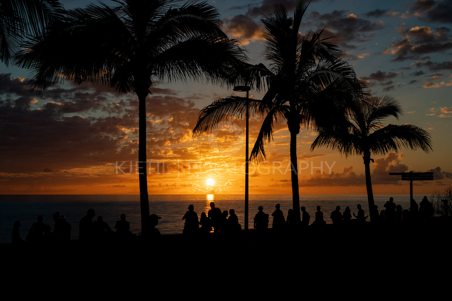 Silhouette of People Enjoying Beautiful Sunset Over Open Sea