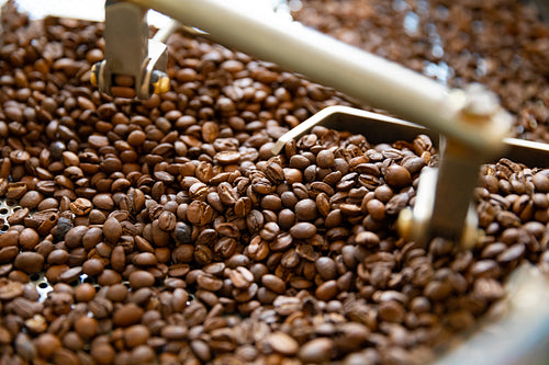Close-up of Raw Coffee Beans In Roaster Machine