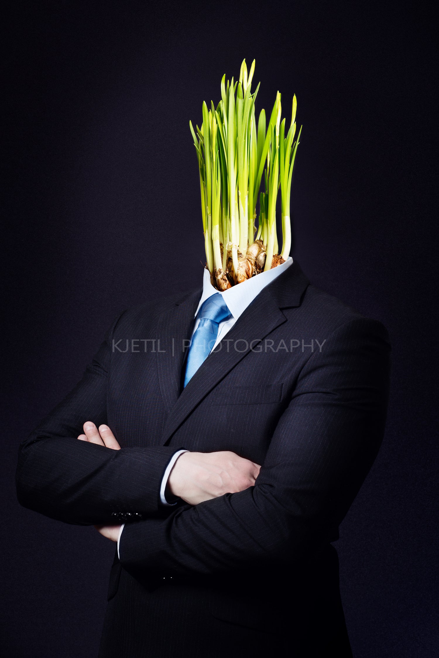 Business Man with Green Daffodil Head