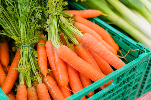Fresh organic carrots at farmers market