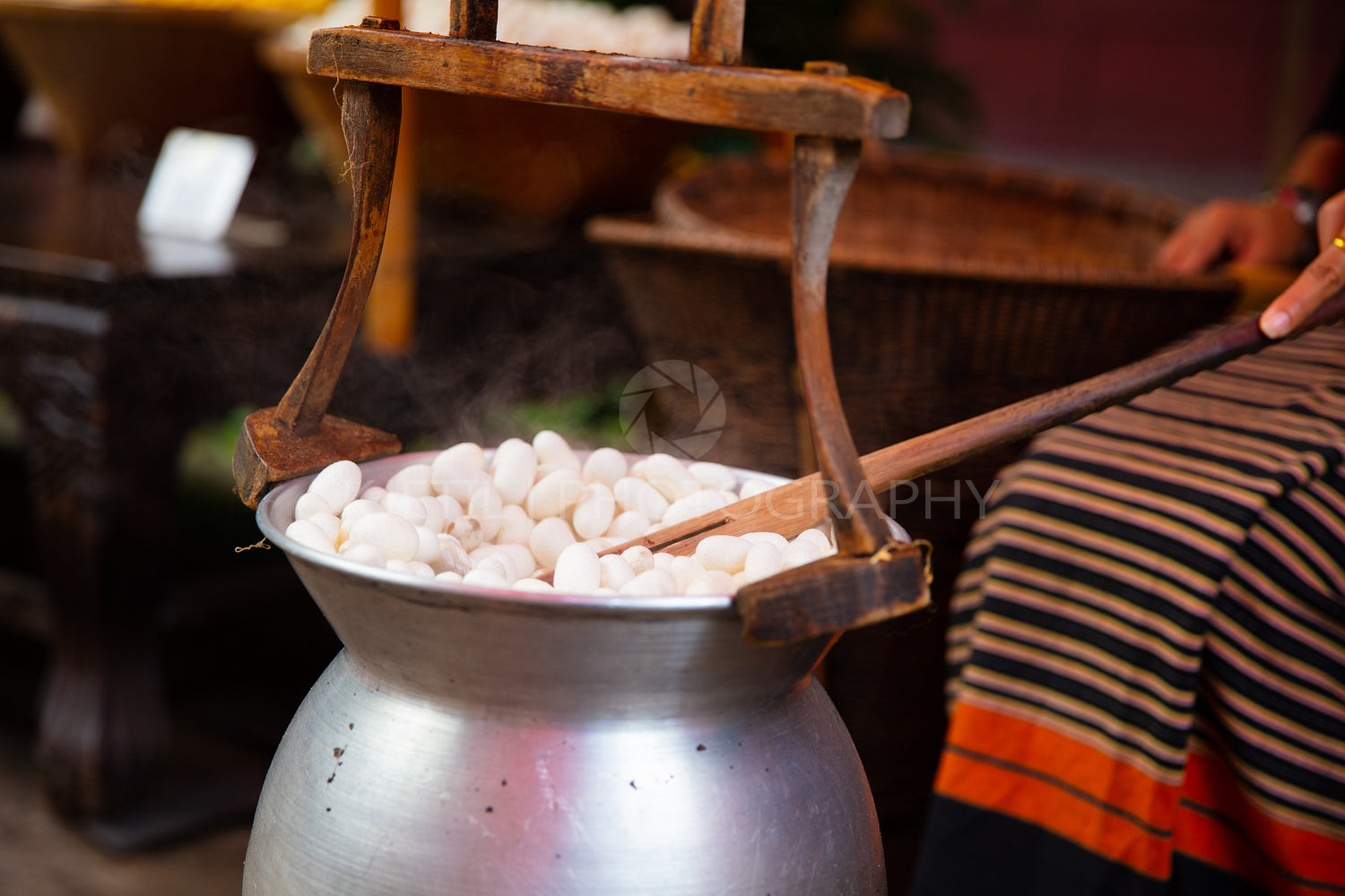 Silk Cocoons Boiling In Large Pot