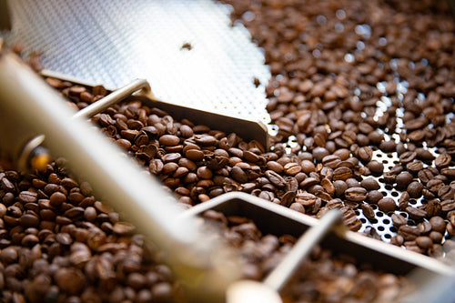 Side view of Raw Coffee Beans In Roaster Machine