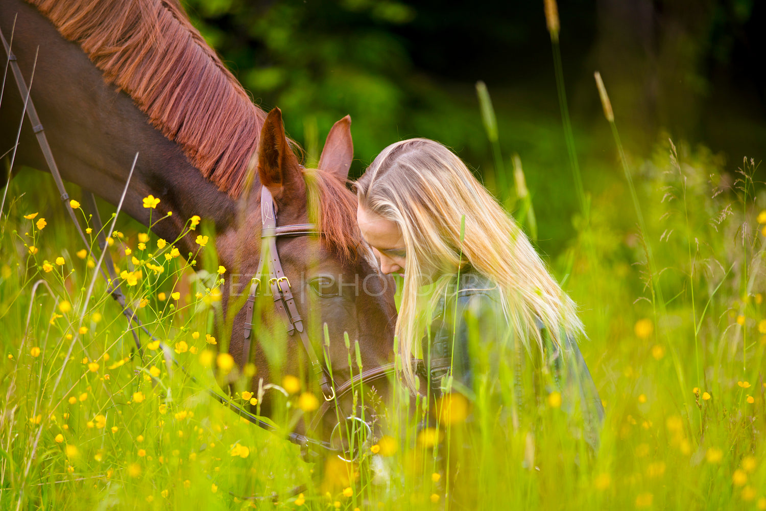 Smiling woman sitting in the meadow with her arabian horse