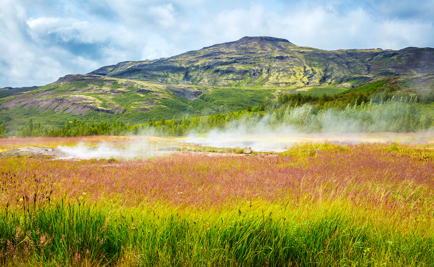 Colorful volcanic geyser landscape at Haukadalur geothermal area in Iceland