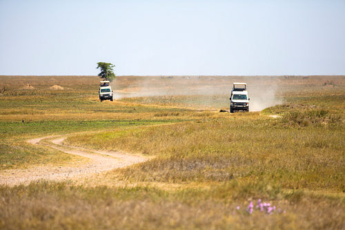Safari tourists on game drive in Serengeti