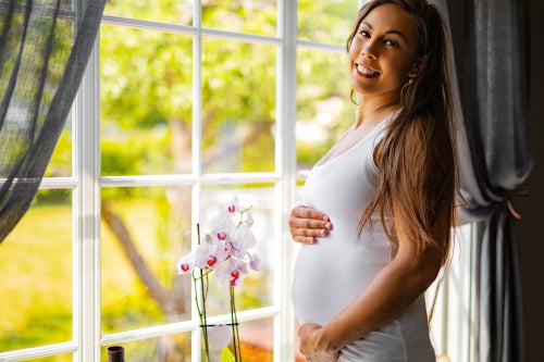 Smiling pregnant woman standing by the window and touching her belly
