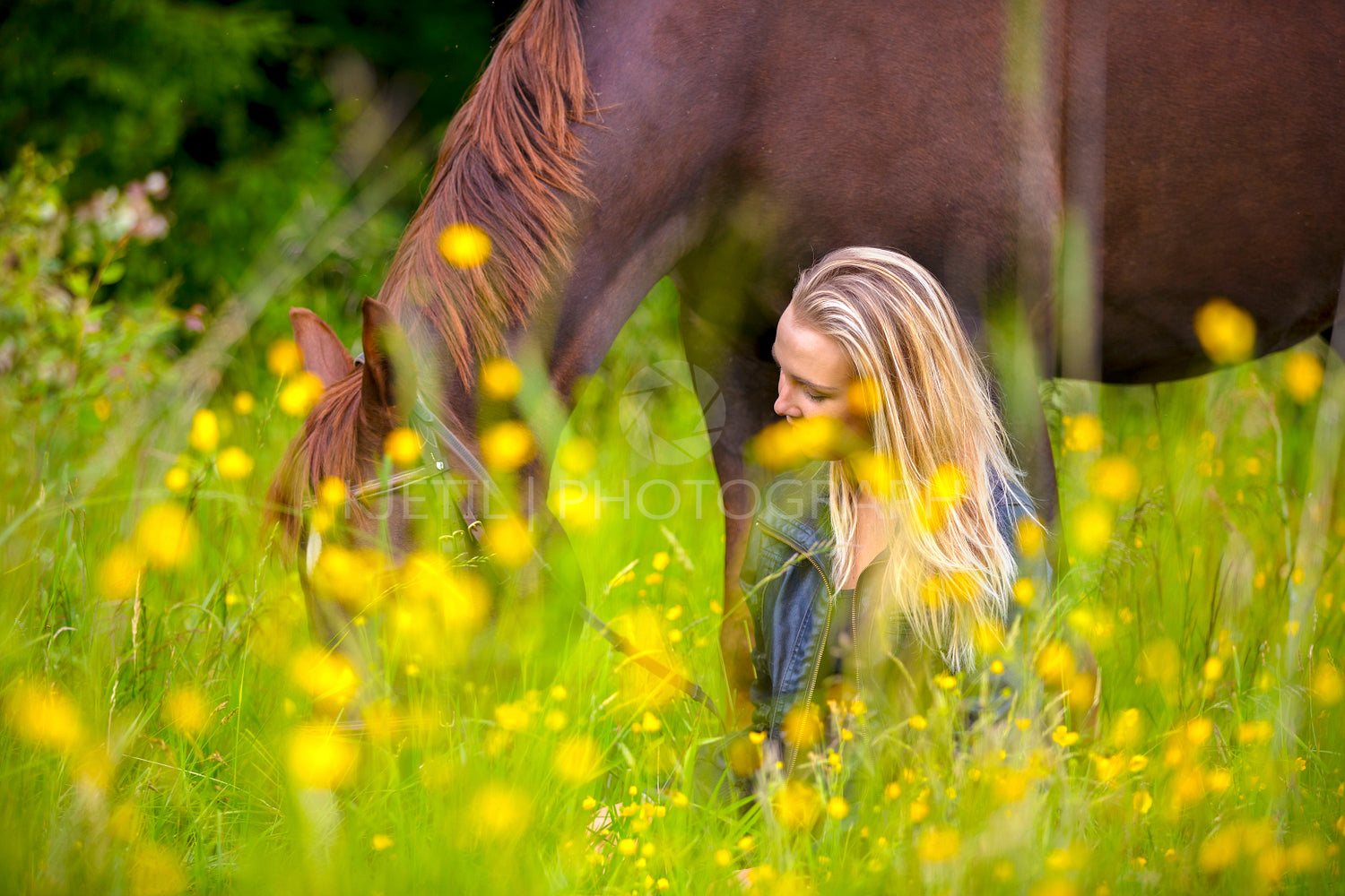 Smiling woman sits in the meadow with her arabian horse