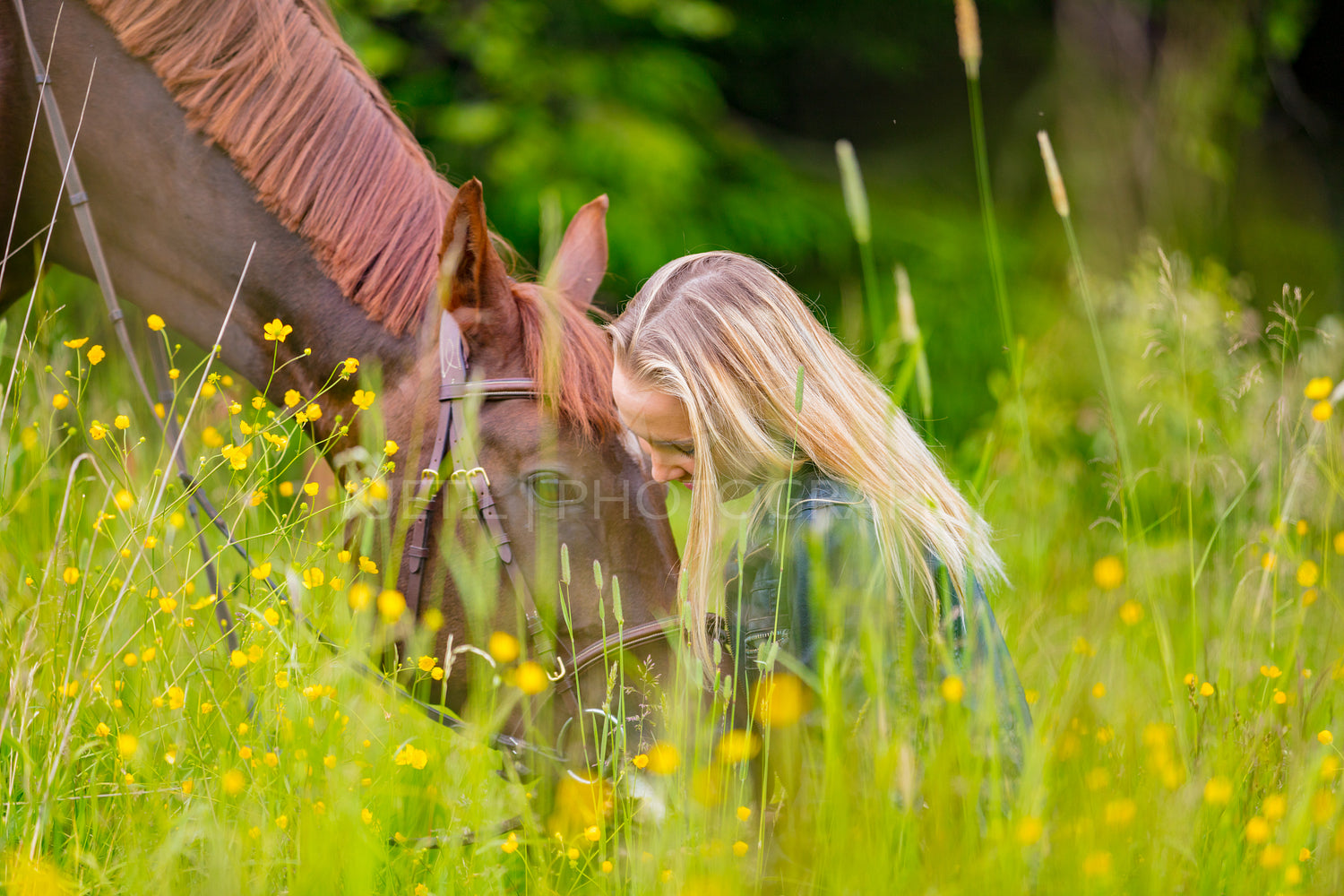 Happy woman sitting in the meadow with her arabian horse