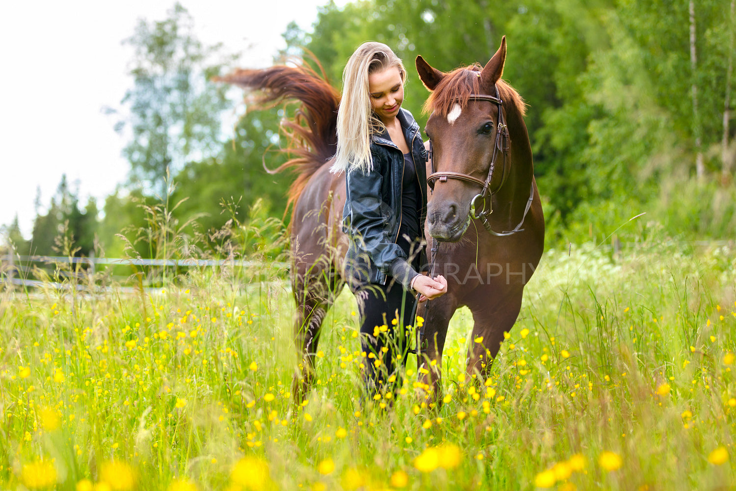 Happy woman feeding her arabian horse with snacks in the field