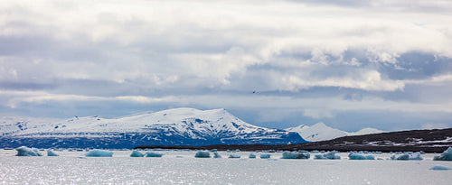 Panorama of floating sea ice in front of snowy mountains in the arctic
