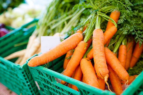 Healthy organic carrots at farmers market