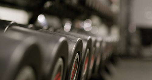 Row of dumbbells in modern sports firness club