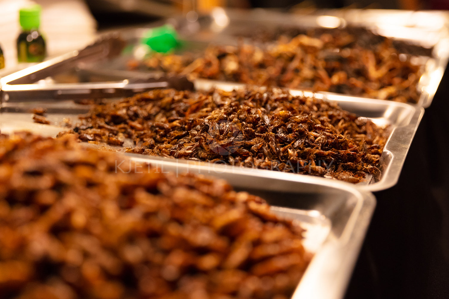 Fried Insects On Trays At Street Market