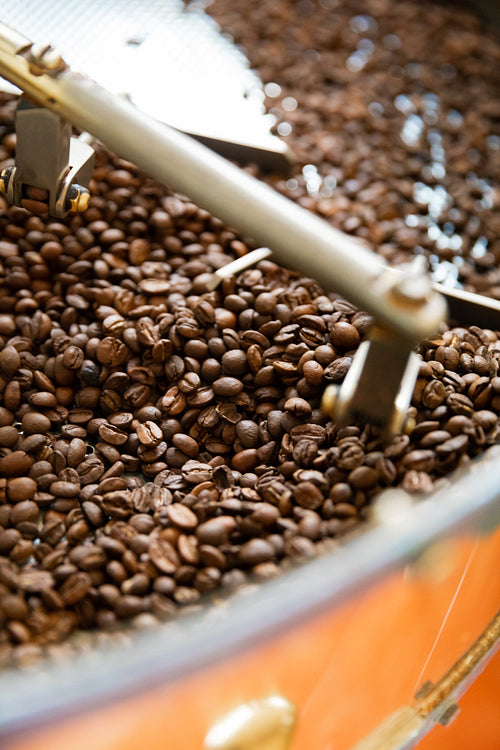 Raw Organic Coffee Beans roasting In Small Scale Production