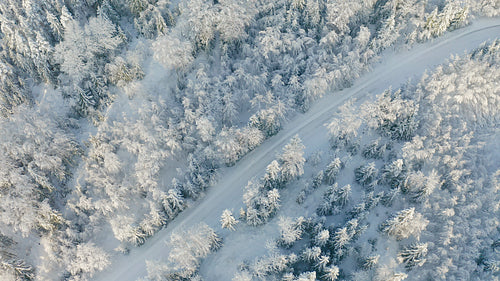 Directly above large forest and driving car on road in the cold winter