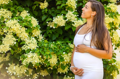Dreamy smiling pregnant woman in beautiful garden looking at the sky