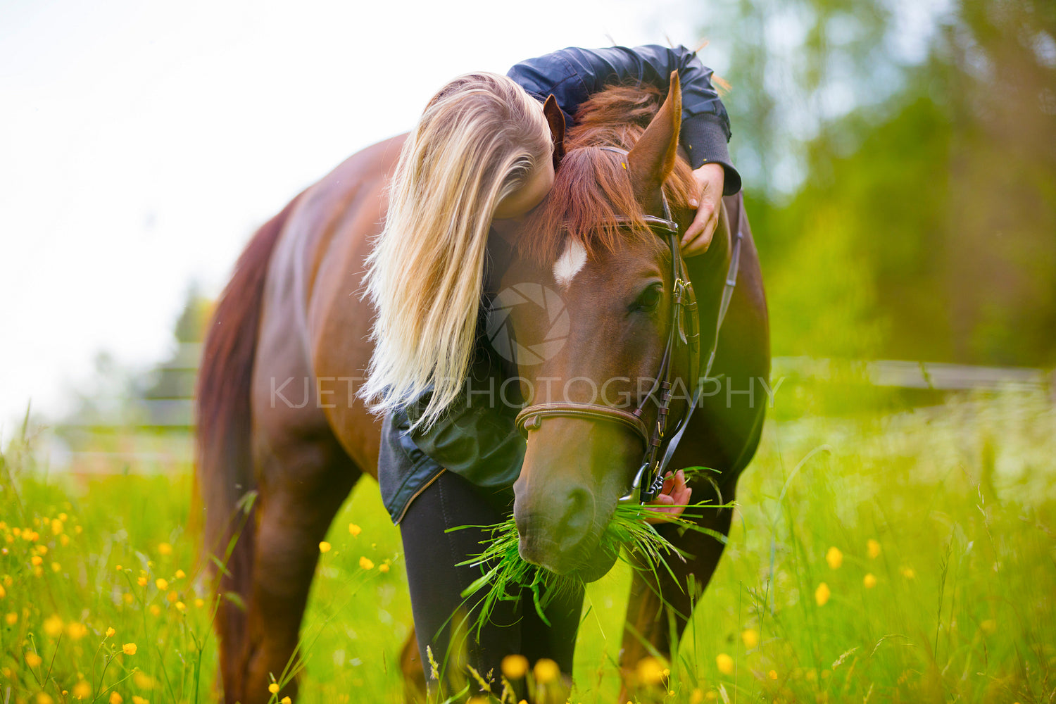 Blonde woman standing in a meadow hugging her arabian horse