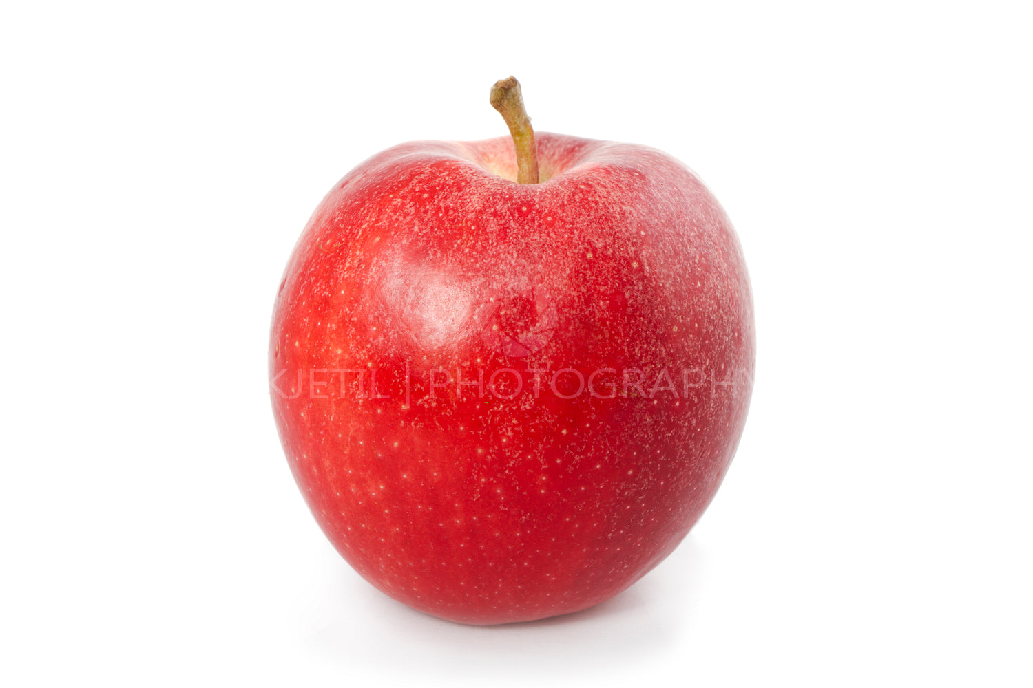 Organic Red Apple