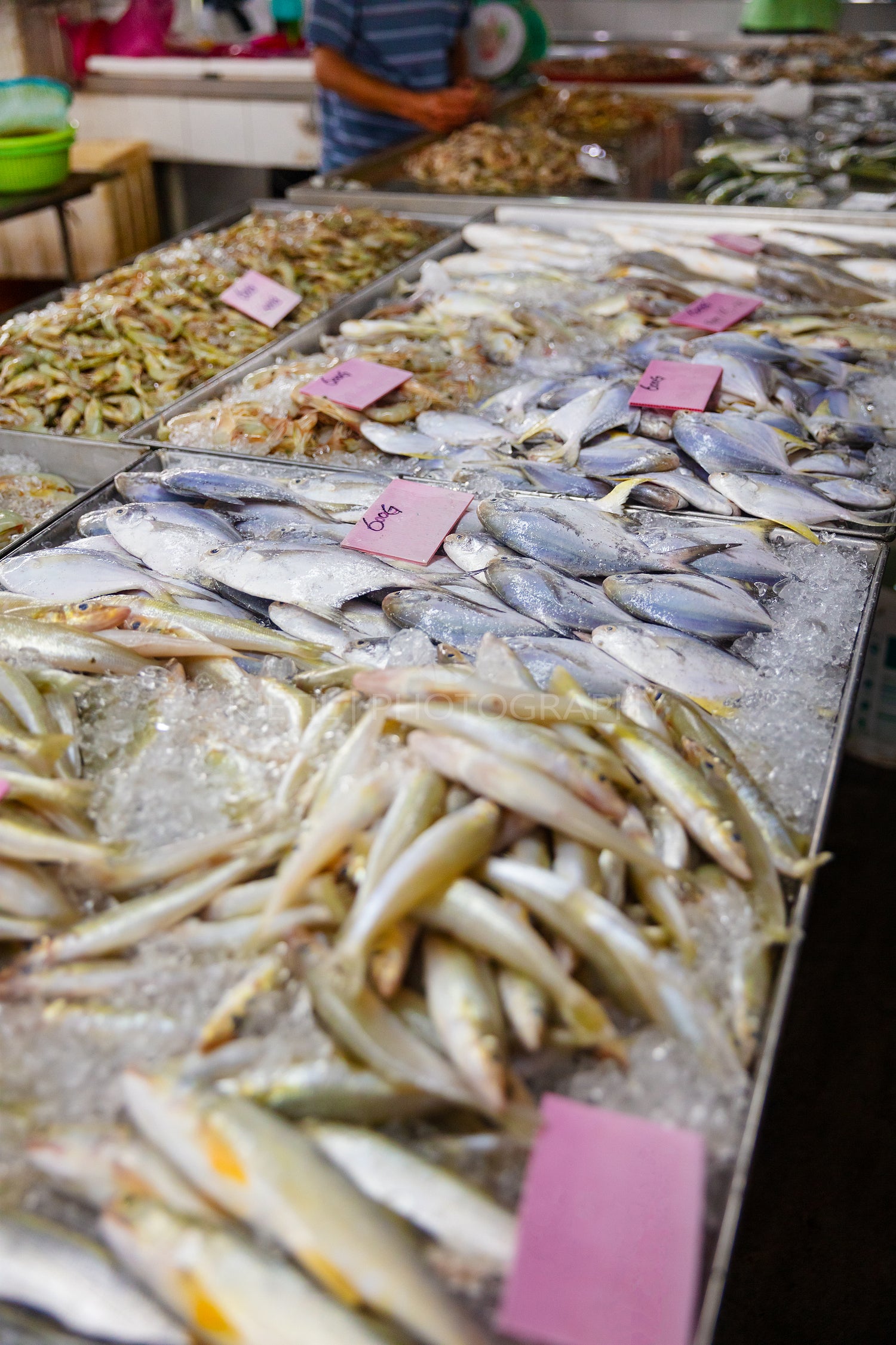 Various fresh fish on display at market stall