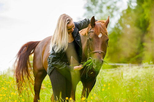 Happy young woman feeding her arabian horse with snacks in the field