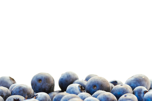 Blueberry background