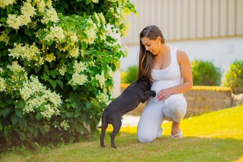 Smiling pregnant woman with a big belly plays with her dog in the garden
