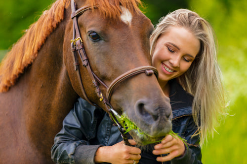 Smiling beautiful woman feeding her arabian horse with grass in the field