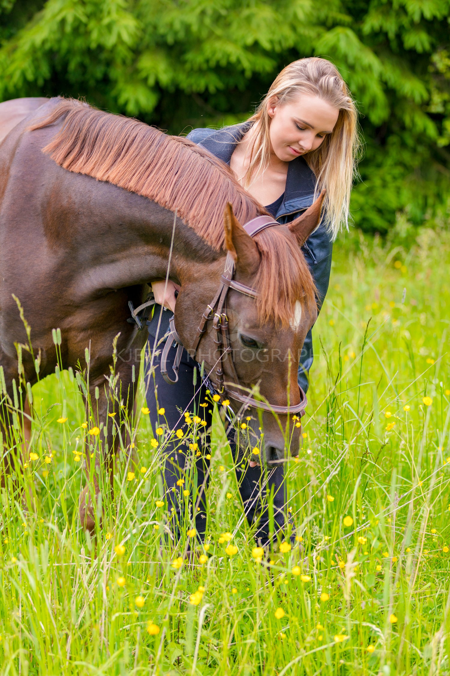 Caring woman feeding her arabian horse with snacks in the field