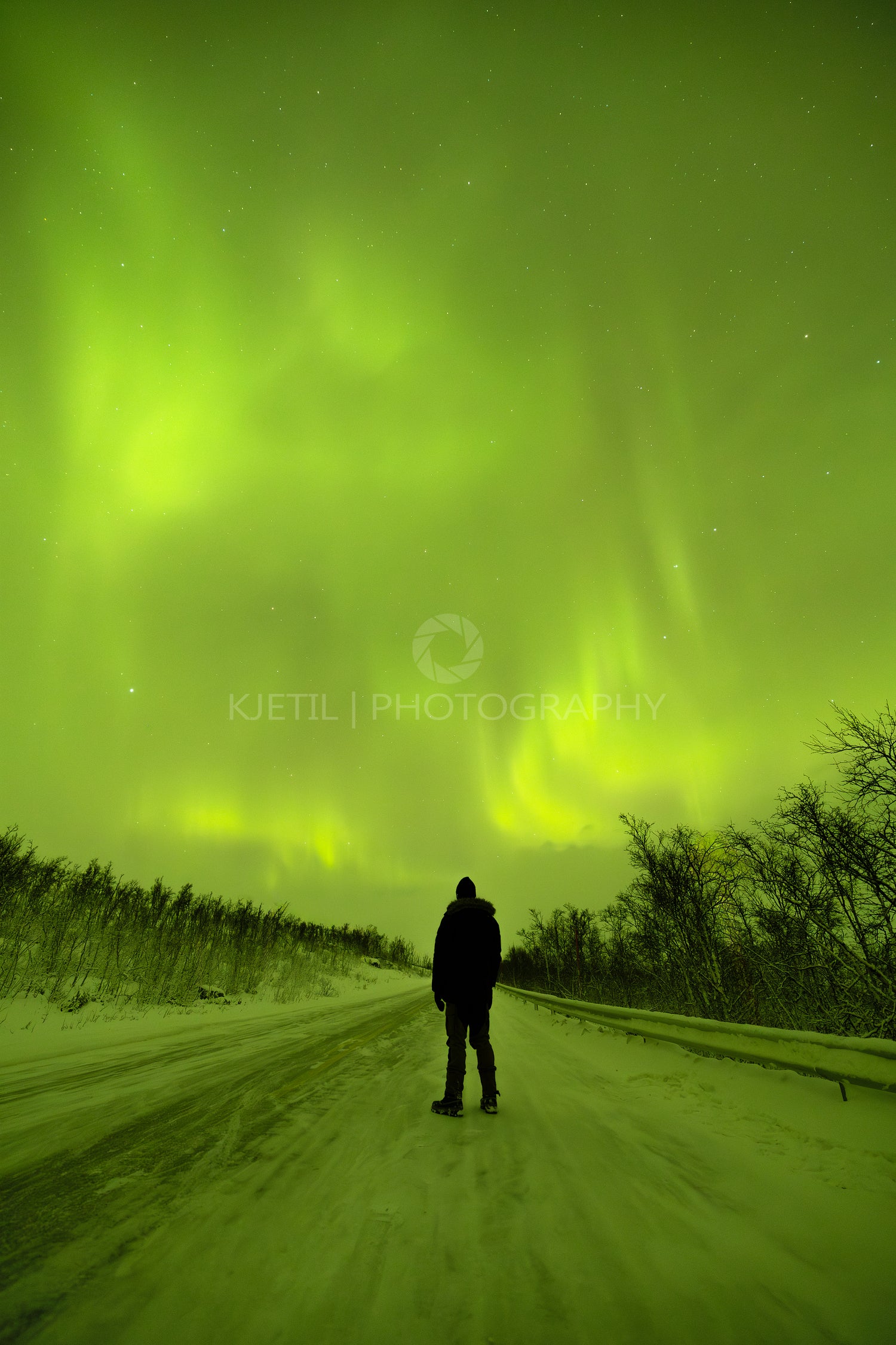 Silhouette of a man looking at the northern lights dance in the arctic night