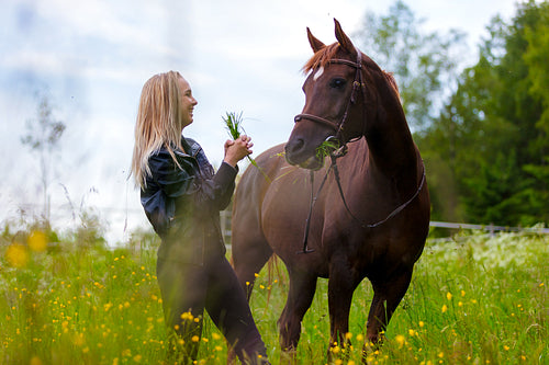 Happy young woman feeding her arabian horse with snacks in the field