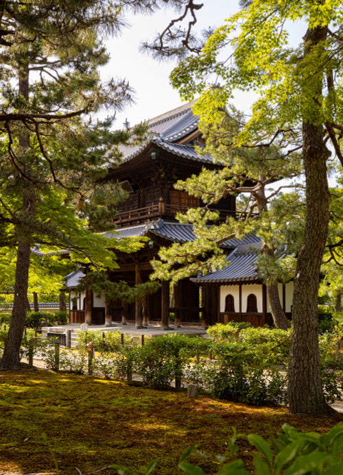 Buddhist temple seen from beautiful Japanese garden