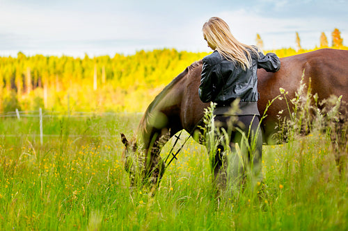 Beautiful woman patting her arabian horse standing in the field