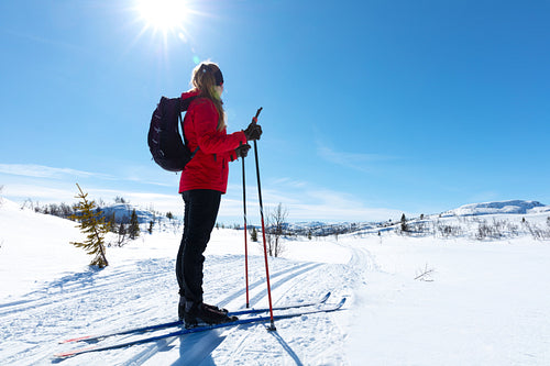 Woman cross country skiing in Norway on sunny day in beautiful winter landscape