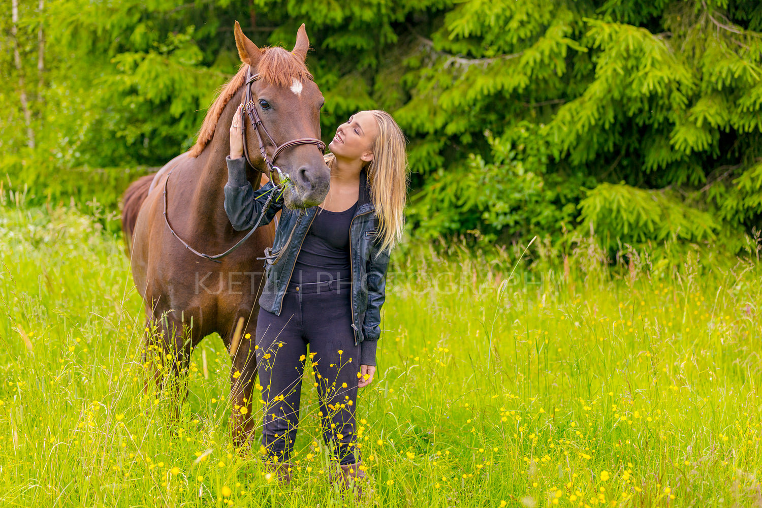 Smiling young woman feeding her arabian horse with snacks in the field