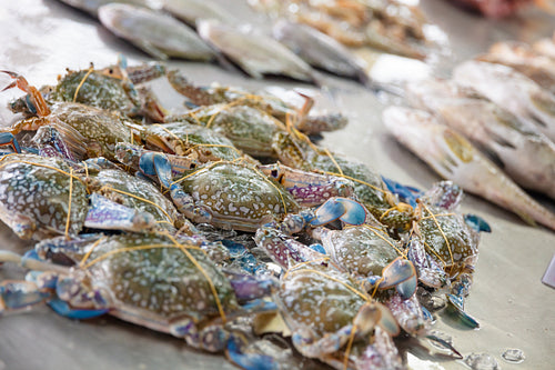 Crabs tied with strings for sale at fish market