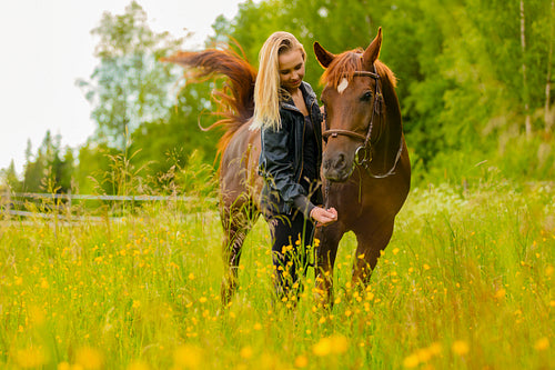 Smiling woman feeding her beautiful arabian horse with snacks in the field