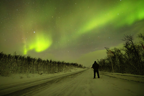 Silhouette of a person looking at aurora borealis dance in the arctic night