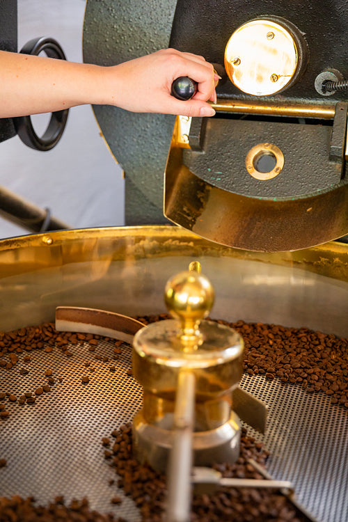 Female Handles Roaster in Organic Coffee production
